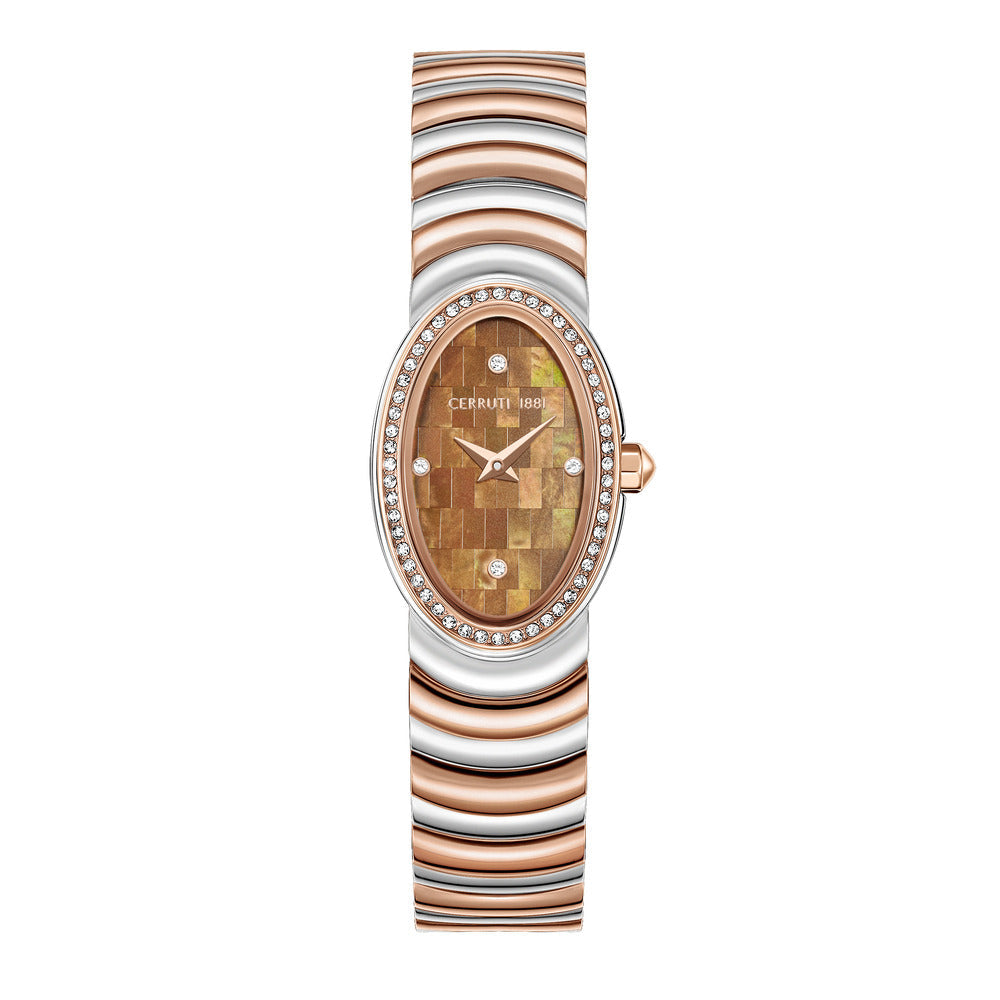 Women Norcia Brown Watch