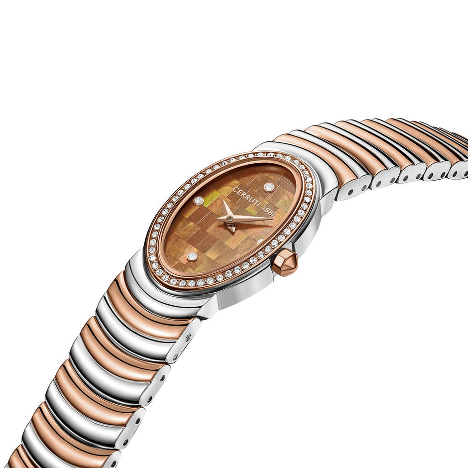 Women Norcia Brown Watch