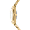 Women Logo Trend Watch