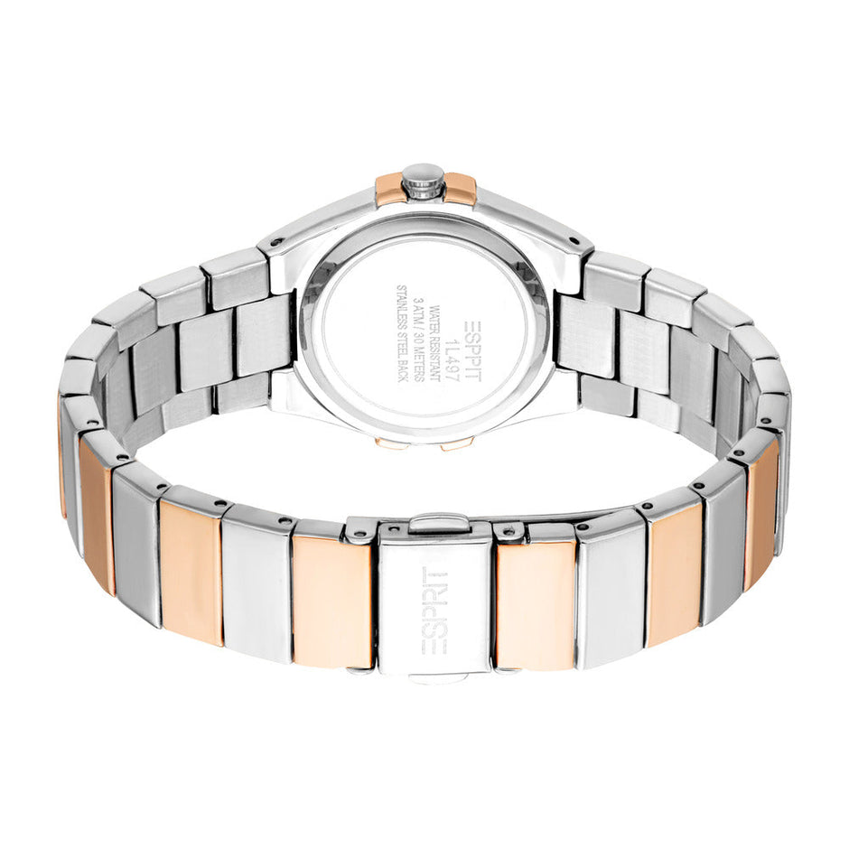 Women Abigail Two Tone Watch