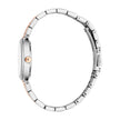 Women Myra Two Tone Watch Set