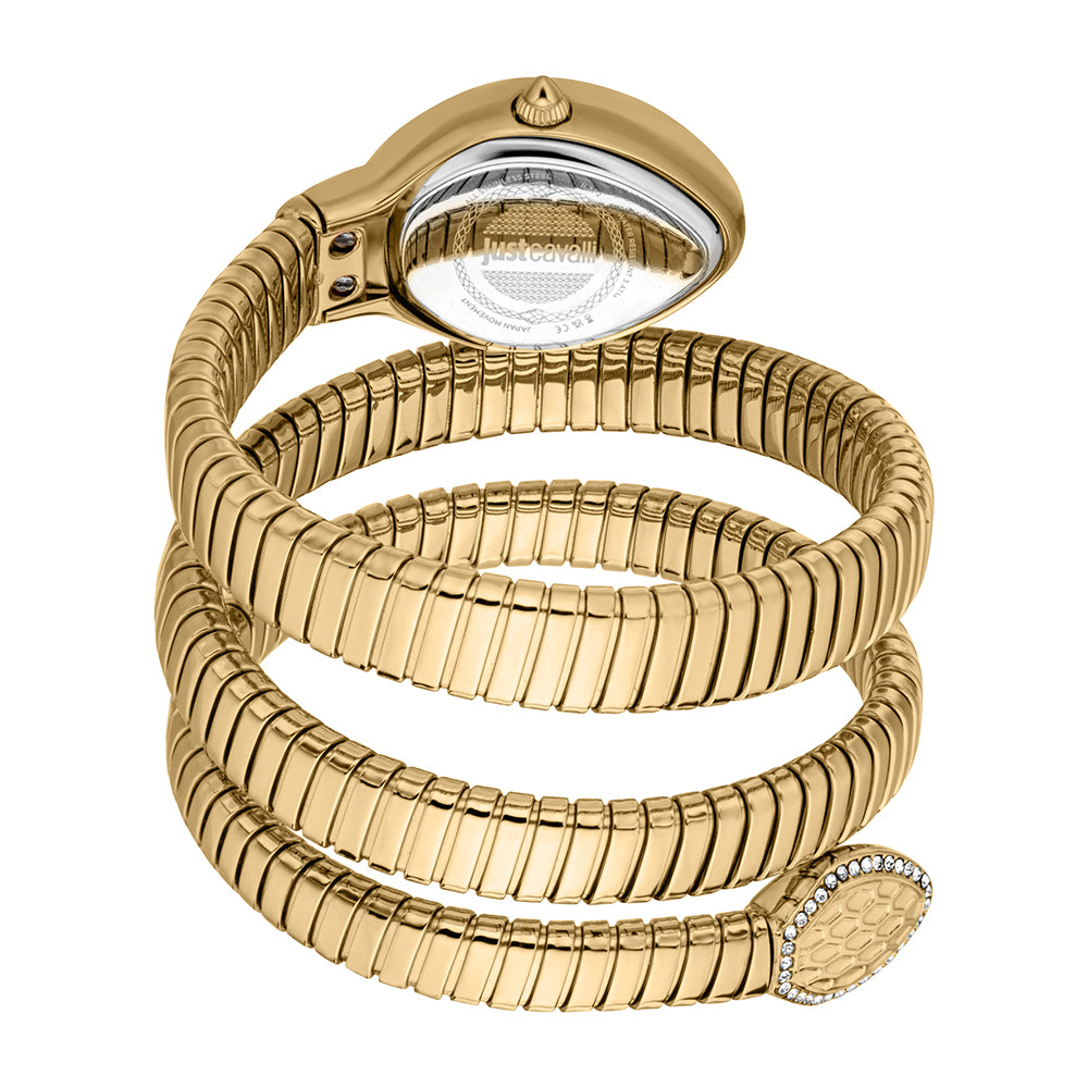 Women Carezza Golden Watch