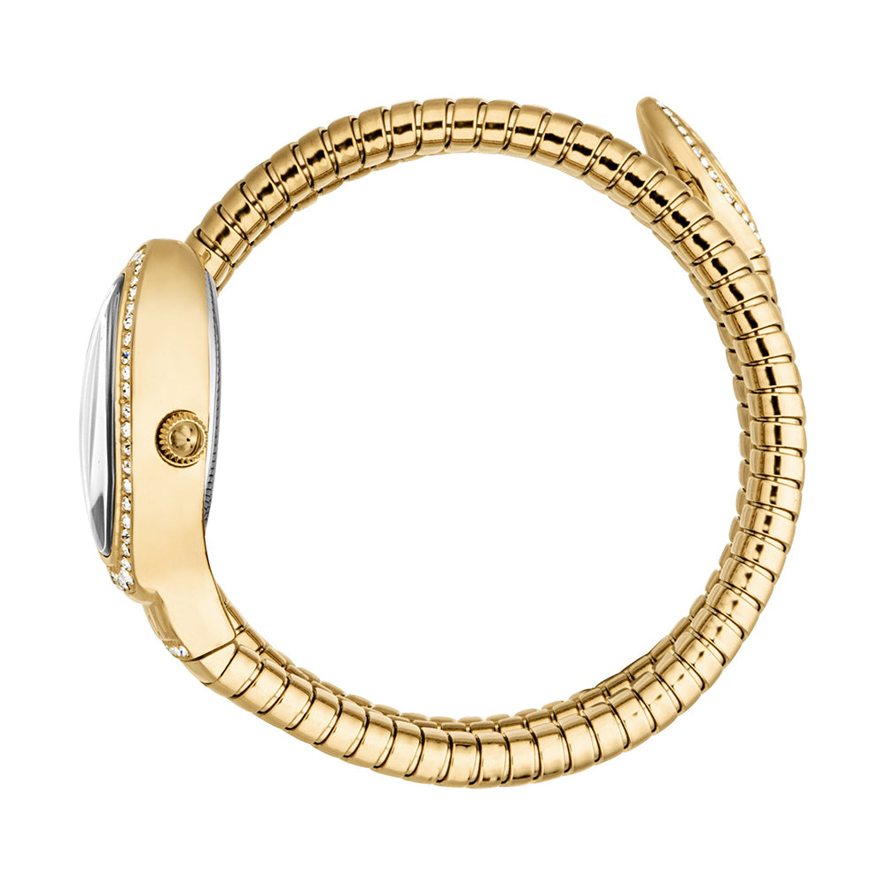 Women Carezza Golden Watch