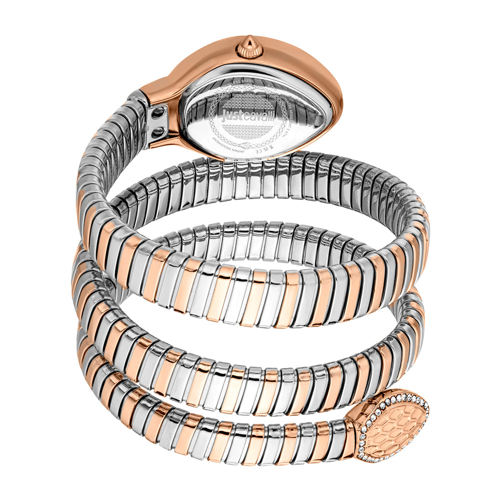 Women Carezza Two Tone Watch