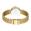 Women Rosa Golden Watch