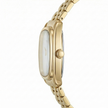 Women Watch